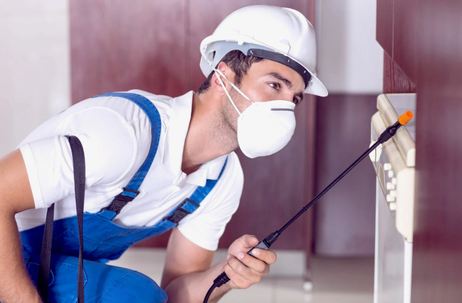 Grapevine local pest services